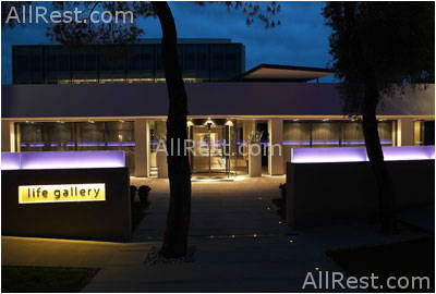 Life Gallery 